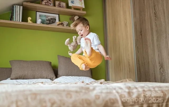 $284,580 | 2159 Catawba Trce Drive, Catawba, NC 28609