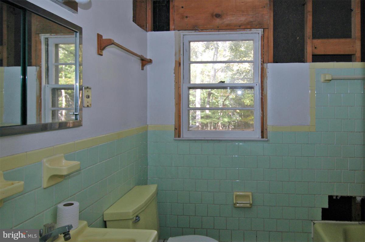 15102 Cactus Hill Road Accokeek, MD 20607 - Photo 16 of 24 a bathroom with a toilet sink and mirror