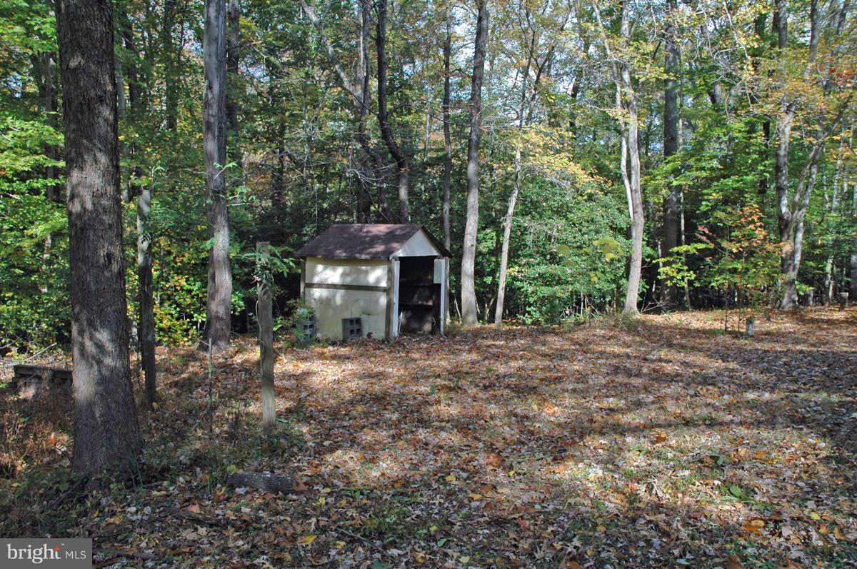 15102 Cactus Hill Road Accokeek, MD 20607 - Photo 4 of 24 a view of a backyard with large trees