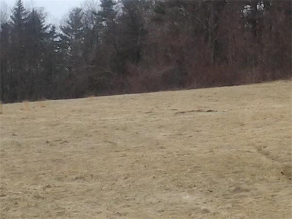 4 Lackey Road Sutton, MA 01590 - Photo 1 of 2 a view of wooden floor in middle of outdoor space