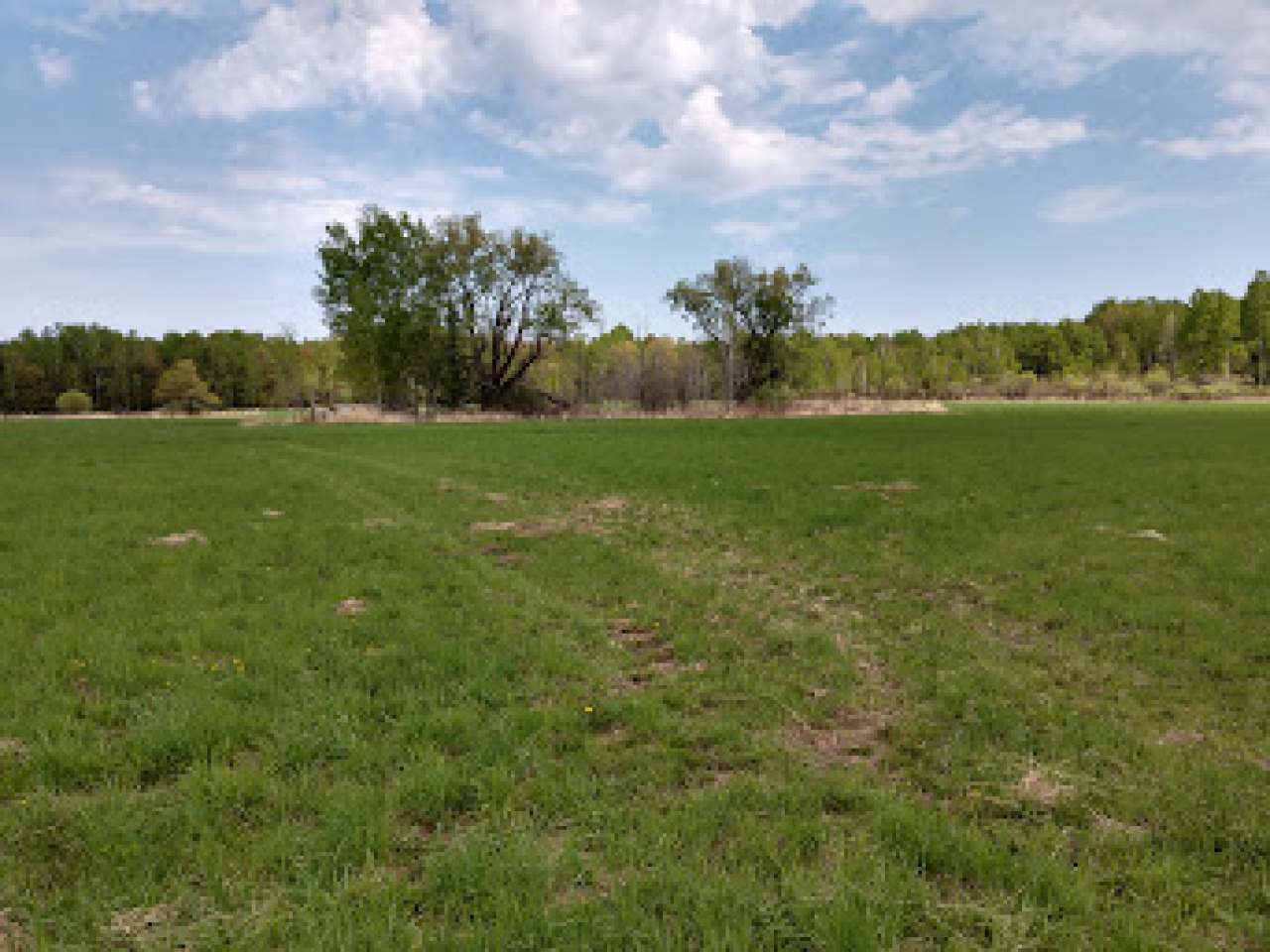 40-acres Vascheau Road Gleason, WI 54435 - Photo 1 of 4 Gallery Image 1