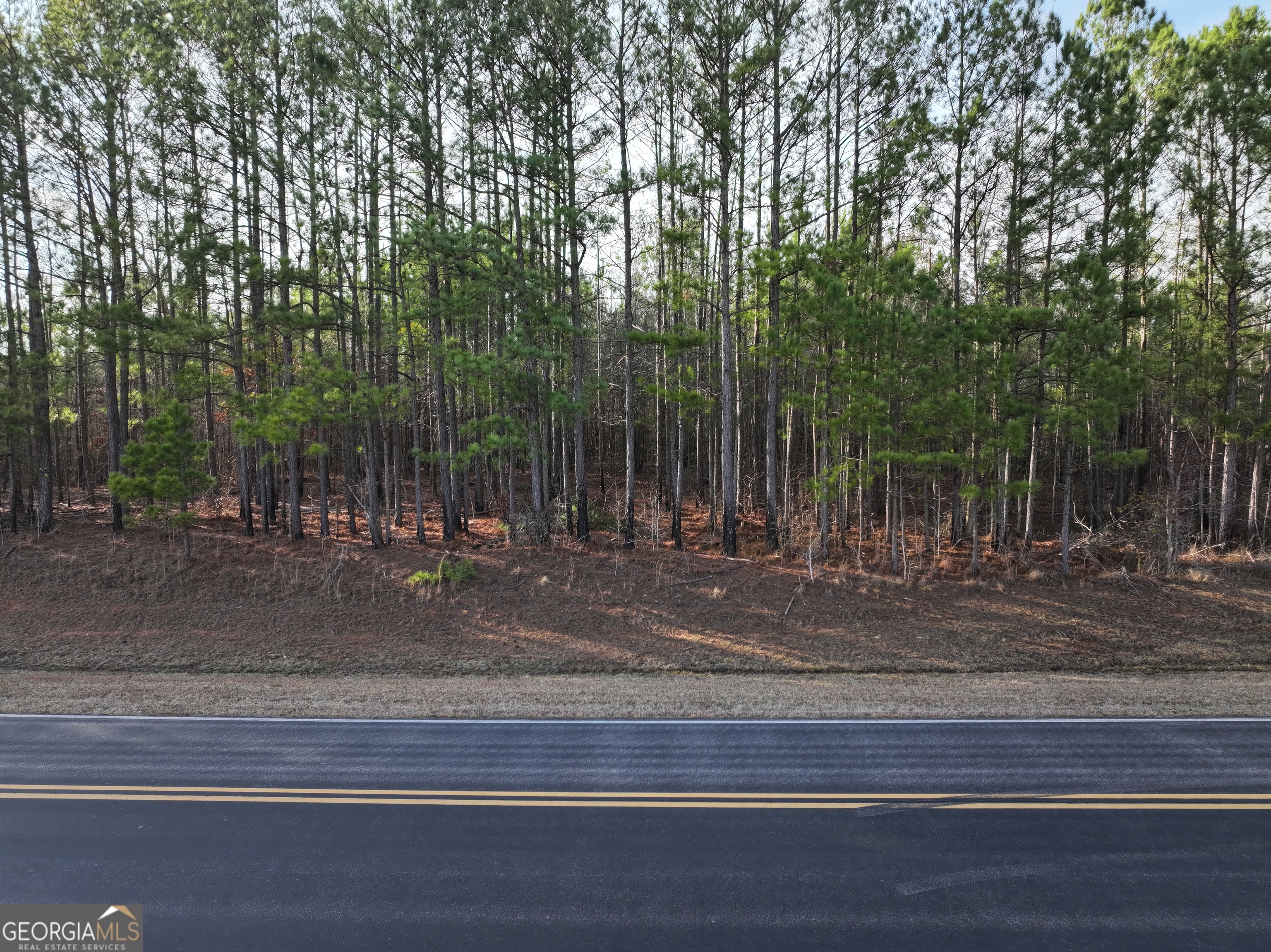 0 Thompson Road, Unit LOT 200 Franklin, GA 30217 - Photo 1 of 1 Gallery Image 1