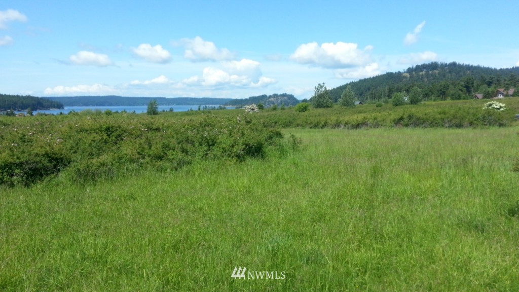 4 Decatur Beach Lane Anacortes, WA 98221 - Photo 6 of 8