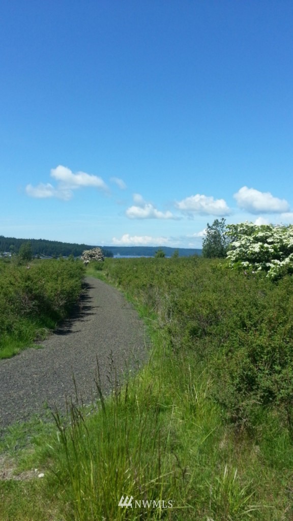 4 Decatur Beach Lane Anacortes, WA 98221 - Photo 7 of 8