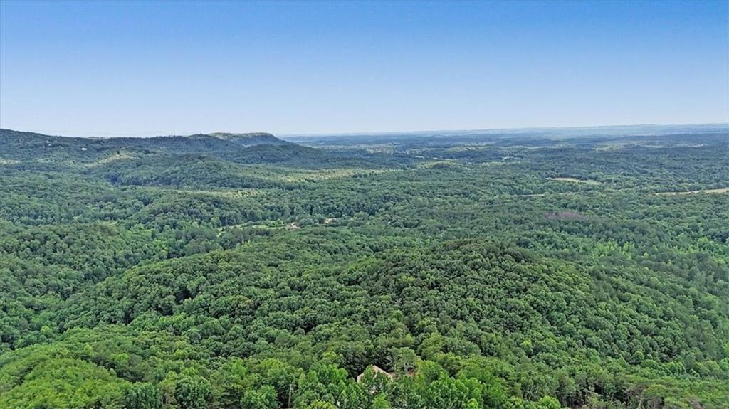 728 Railey Ridge Ranger, GA 30734 - Photo 56 of 79