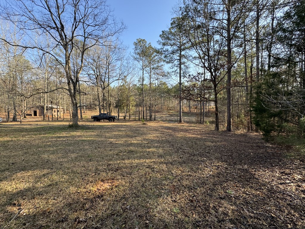 441 Mountain Shadows Road Hamilton, GA 31811 - Photo 51 of 60 Gallery Image 51