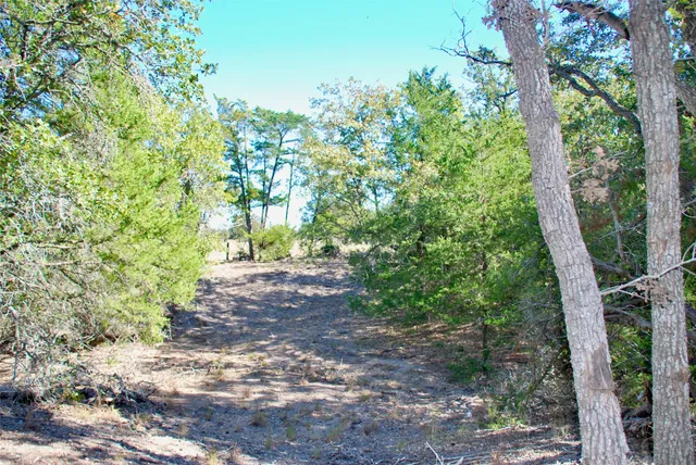 a big yard with lots of green space and trees