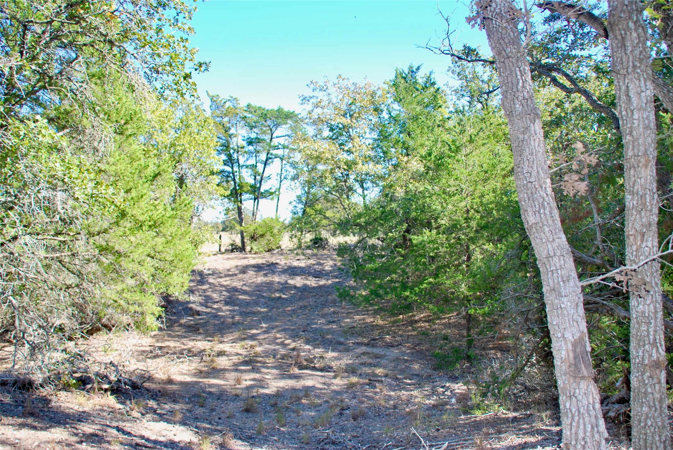 1727 Davis Road West Point, TX 78963 - Photo 32 of 44