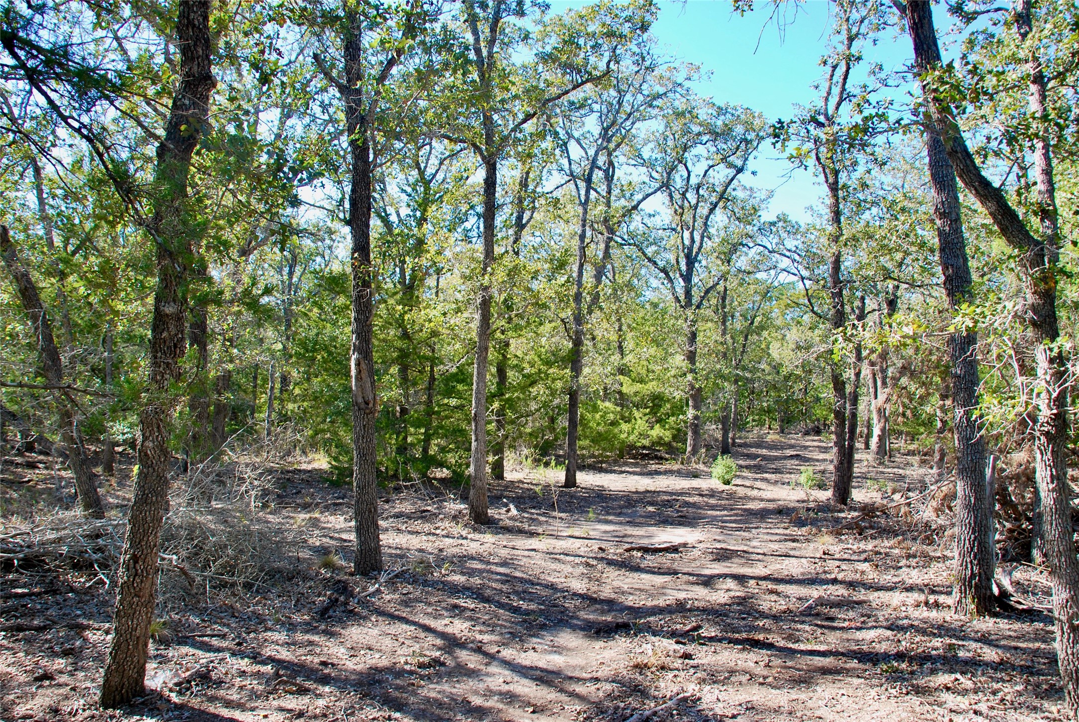 1727 Davis Road West Point, TX 78963 - Photo 33 of 44