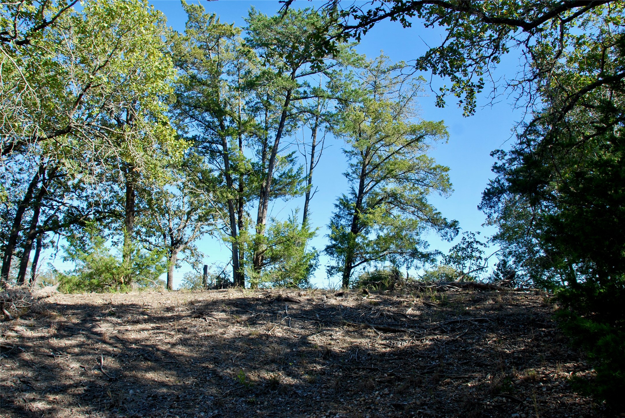 1727 Davis Road West Point, TX 78963 - Photo 35 of 44