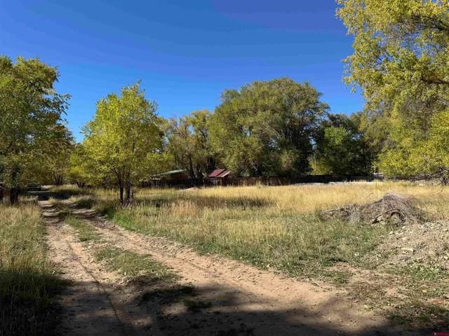 a view of a yard with a tree