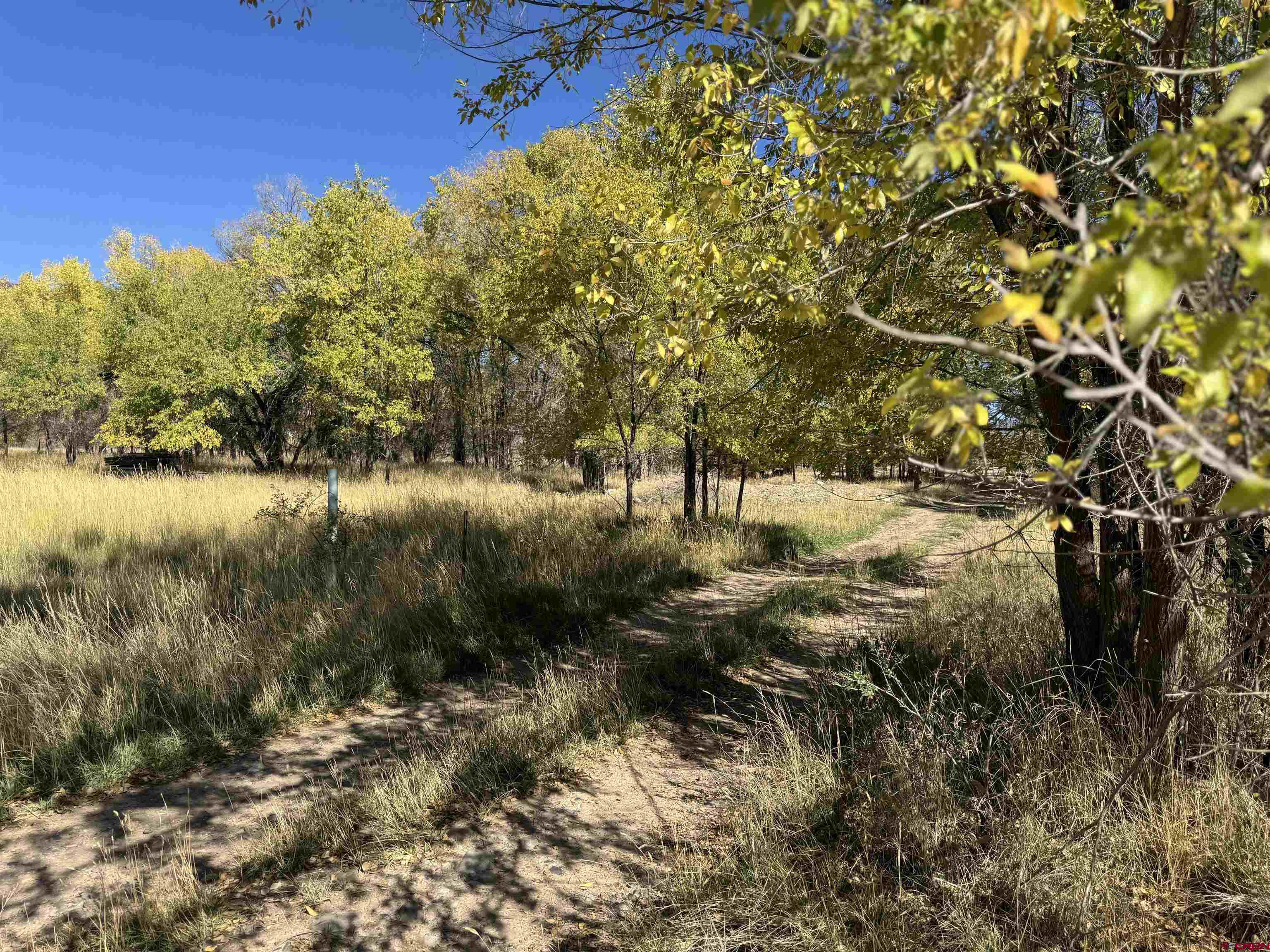 Lot 1 Price Road Paonia, CO 81428 - Photo 11 of 18