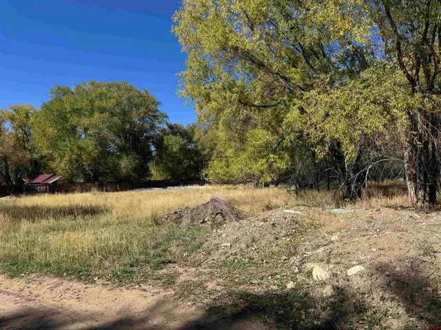 a view of a yard with a tree