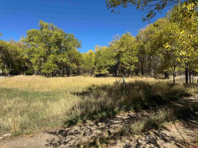 a view of a lake with a yard
