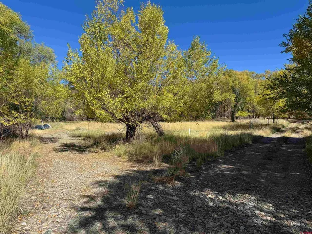 $166,500 | Tbd Tbd Vacant Ground, Paonia, CO 81428