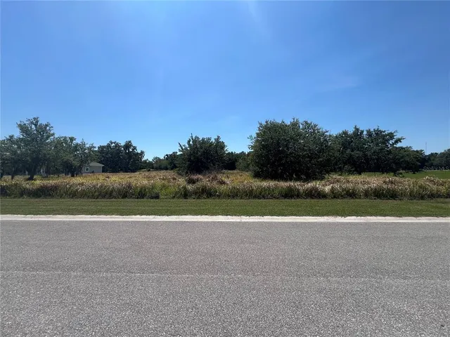 a view of a grassy field with trees