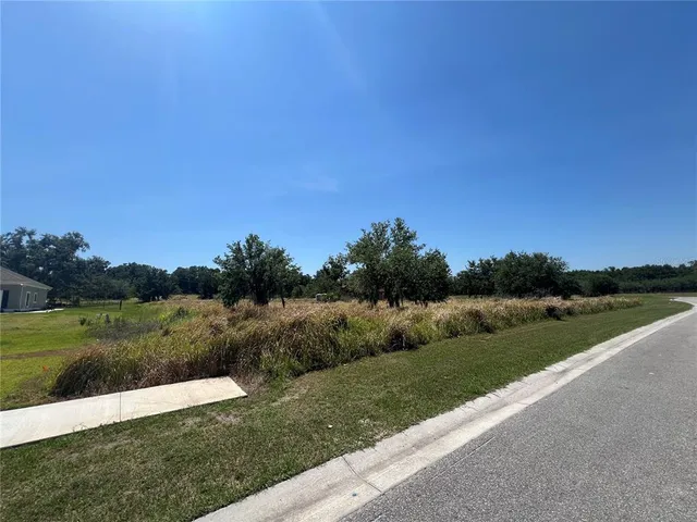 a view of a field with an trees