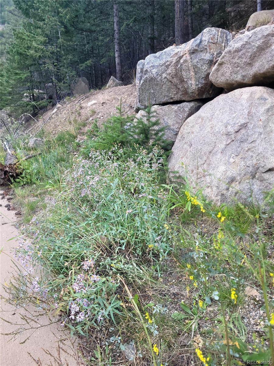 0 Guanella Pass Road Georgetown, CO 80444 - Photo 10 of 10 Gallery Image 10