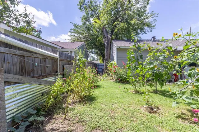 a view of a backyard with plants