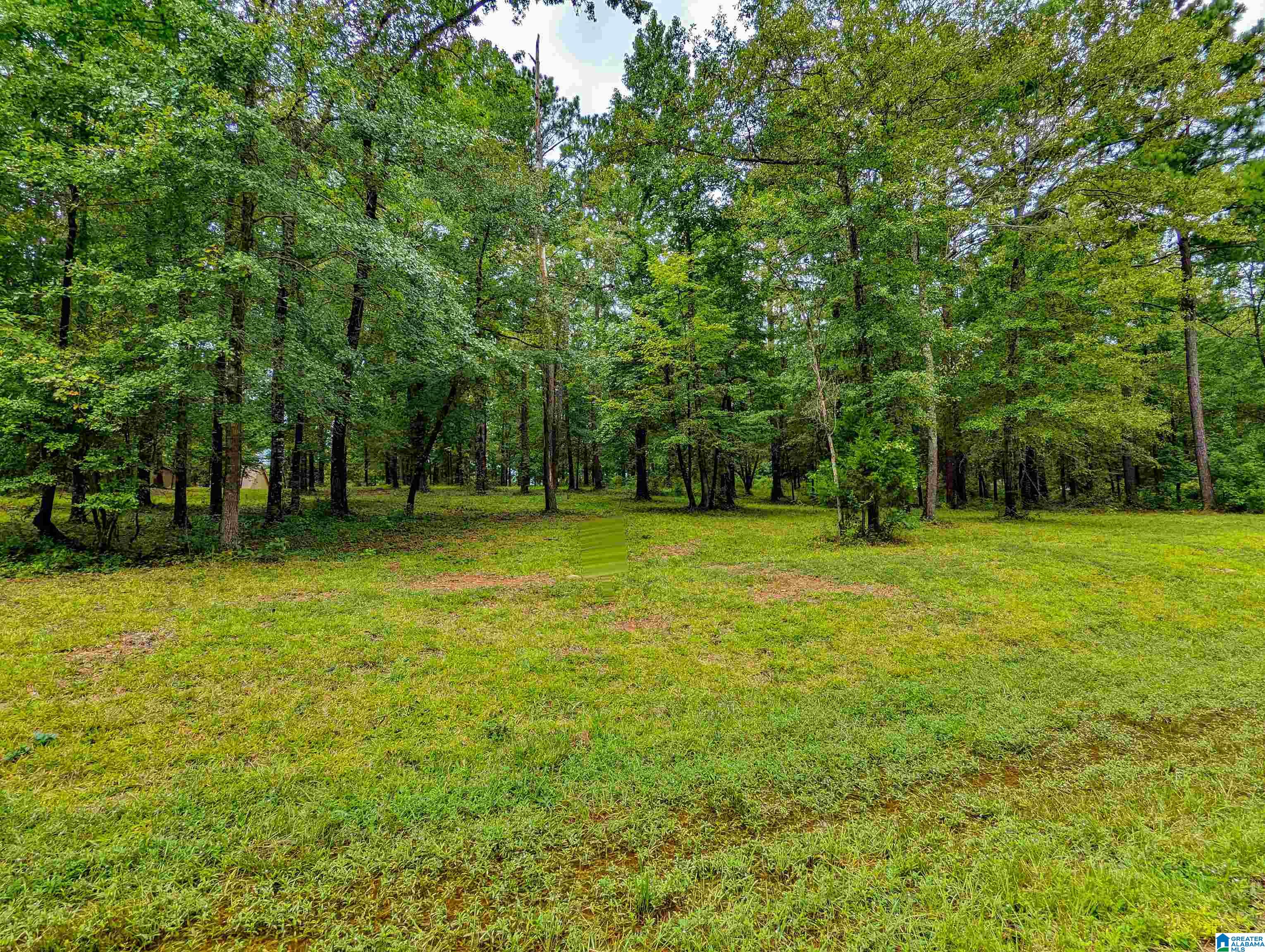 Lake Front Trail, Unit 9 Clanton, AL 35046 - Photo 3 of 13