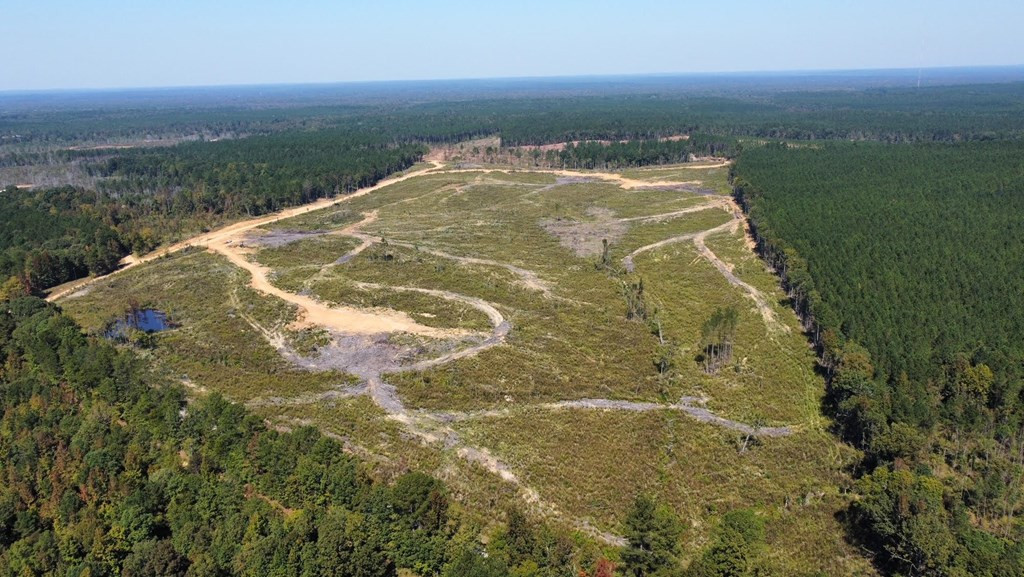 1 Stewart Weir Road Stewart, MS 39767 - Photo 8 of 12 Photo 8