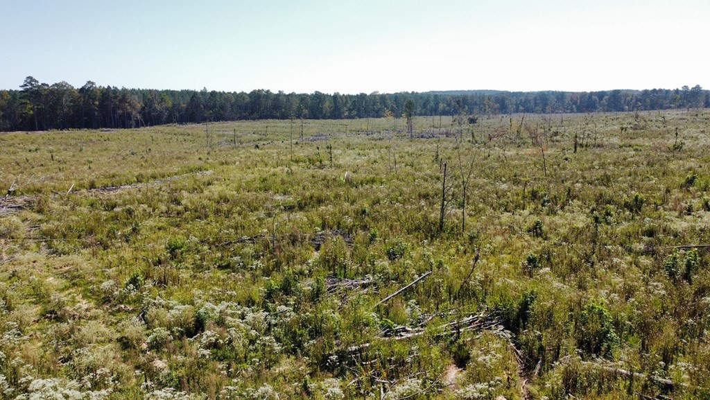 1 Stewart Weir Road Stewart, MS 39767 - Photo 10 of 12 Photo 10