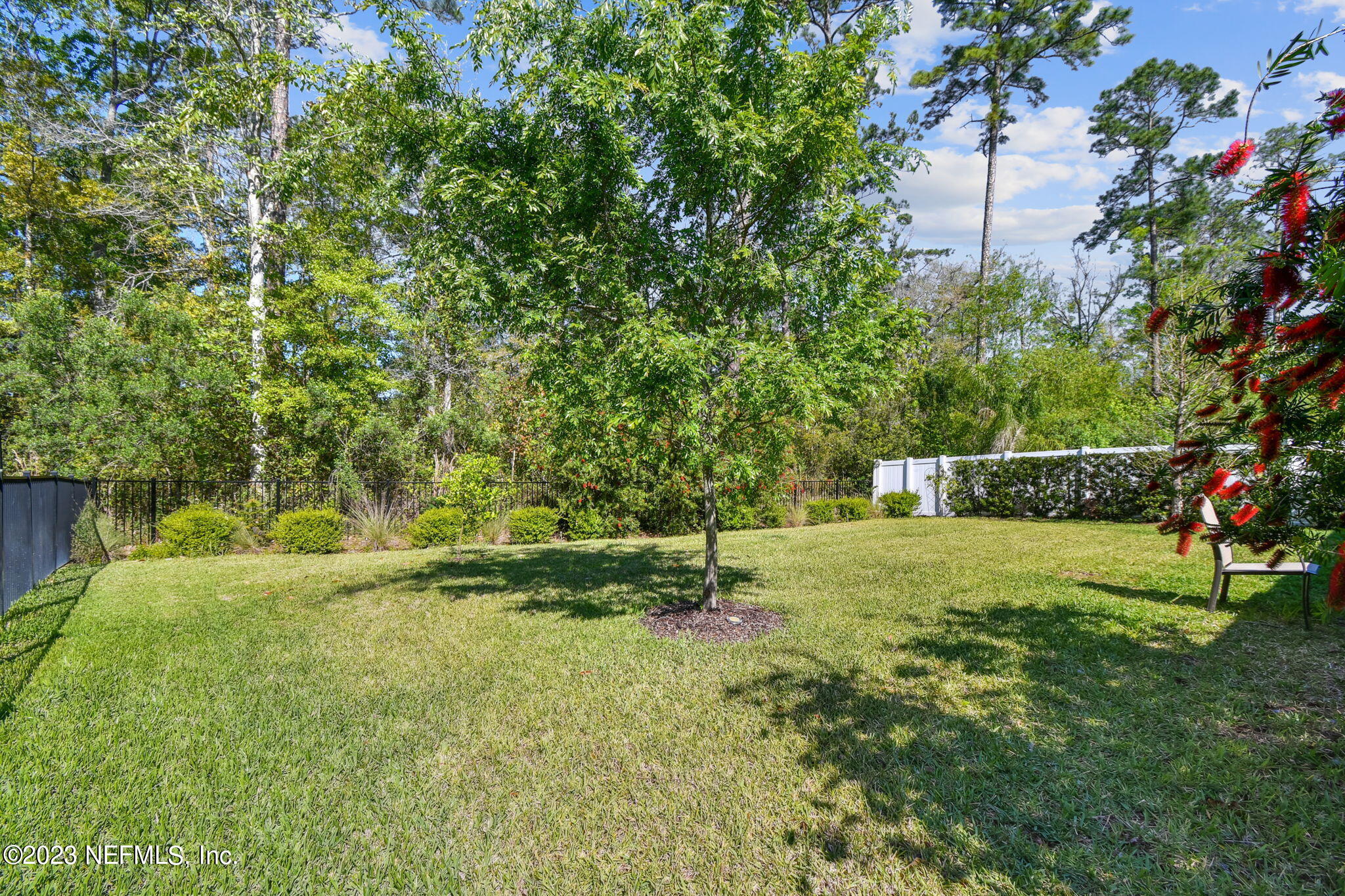 493 Rittburn Lane St. Johns, FL 32259 - Photo 43 of 53 Backyard