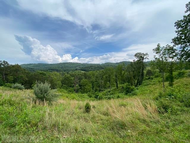 Tbd Rustic Ridge Road Riner, VA 24149 - Photo 4 of 53 Gallery Image 4