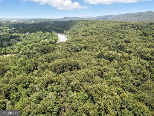 a view of a yard with a trees