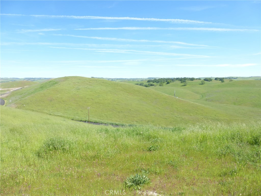 0 Douglas Road San Miguel, CA 93451 - Photo 29 of 75