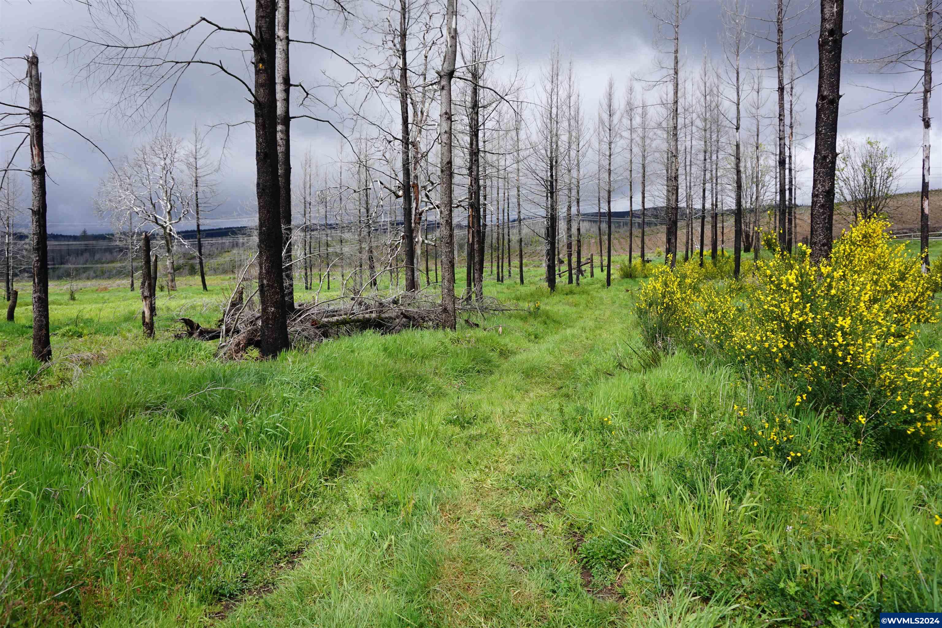 900 Wagner Road Lyons, OR 97358 - Photo 24 of 30