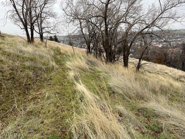 North Main Street Pendleton, OR 97801 - Photo 2 of 13 a view of a yard with a tree
