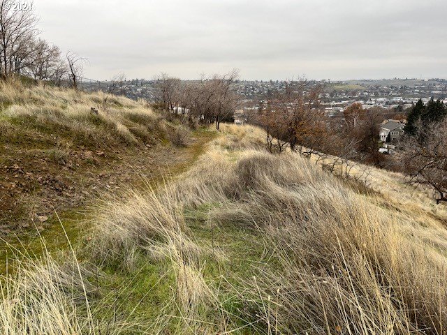 North Main Street Pendleton, OR 97801 - Photo 5 of 13 a view of a city