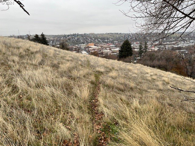 North Main Street Pendleton, OR 97801 - Photo 6 of 13 a view of a dry yard with wooden fence