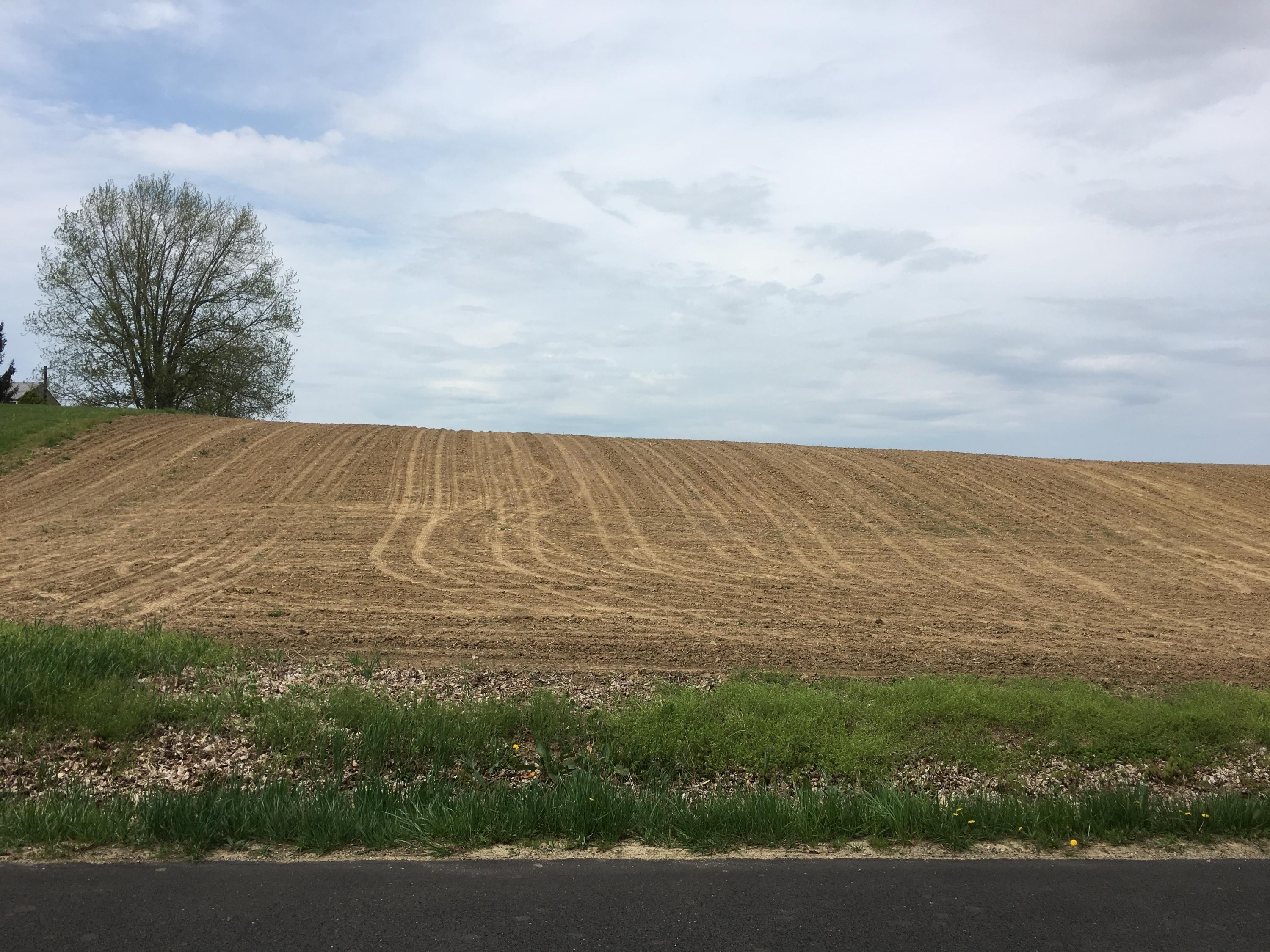 7863 Bowers Road Southwest Amanda, OH 43102 - Photo 3 of 4