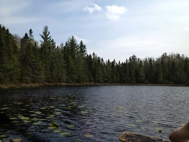 40-acres Hilts Lake Road Rhinelander, WI 54501 - Photo 15 of 18 Gallery Image 15