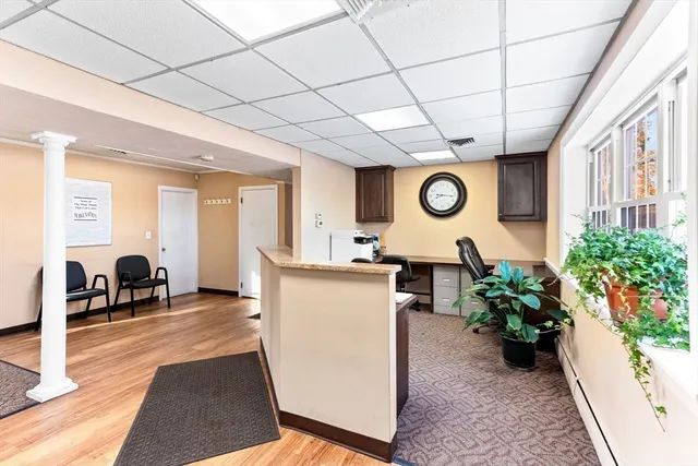 a view of living room filled with furniture and a potted plant