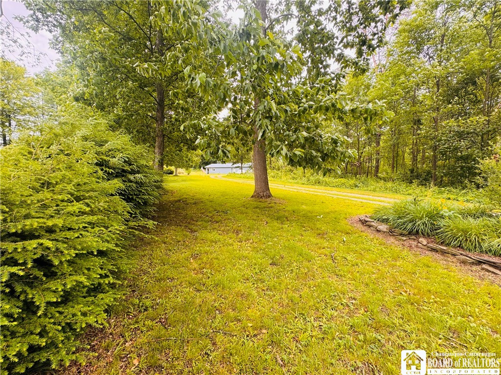 190 Old Fentonville Road Carroll, NY 14738 - Photo 40 of 41