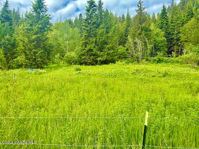 2868 Pine Island Road Bonners Ferry, ID 83805 - Photo 10 of 46 7