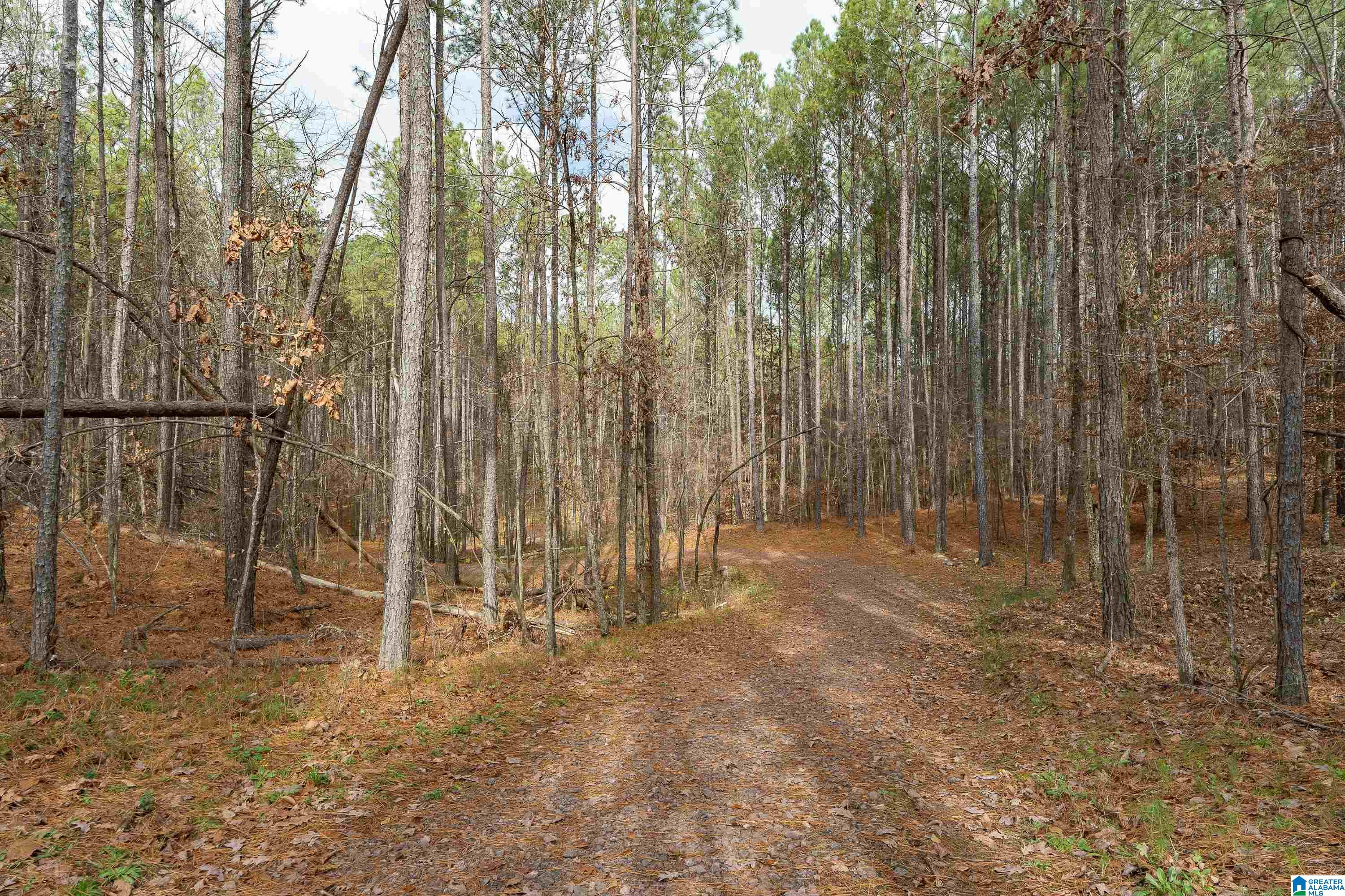 155 Appleford Road Helena, AL 35080 - Photo 51 of 56