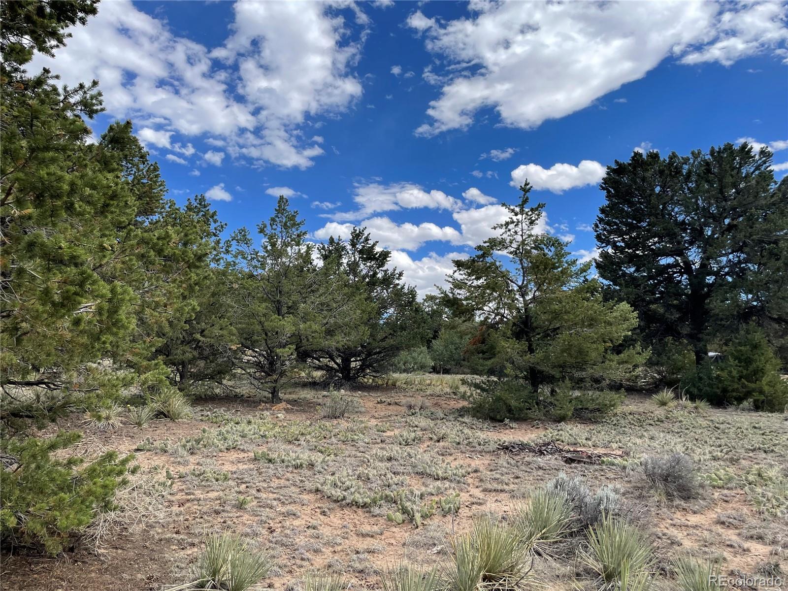 4303 Fallen Tree Way Crestone, CO 81131 - Photo 15 of 19