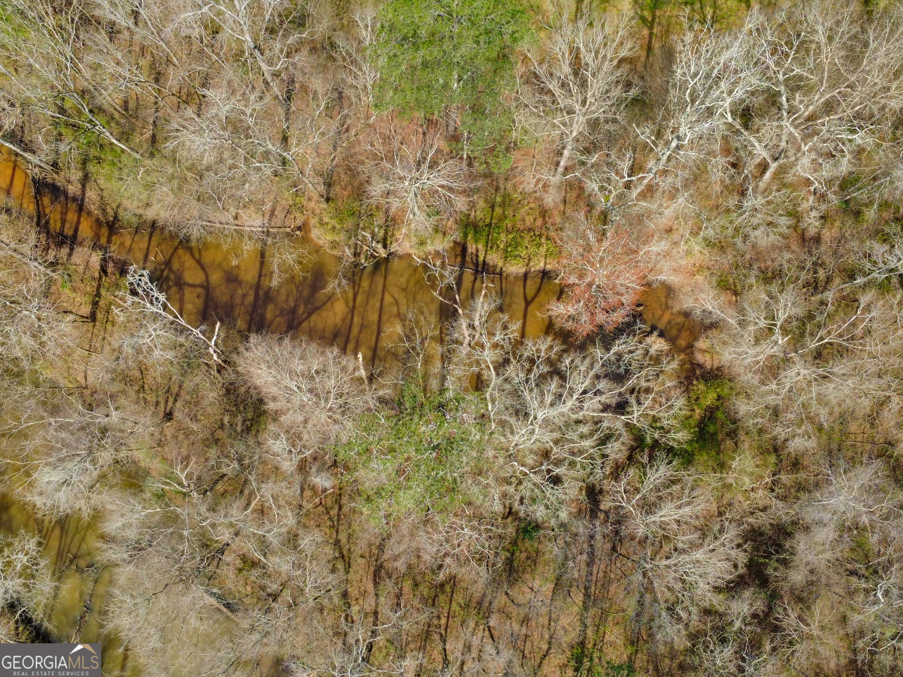 138 Lewis Street Jackson, GA 30233 - Photo 7 of 23