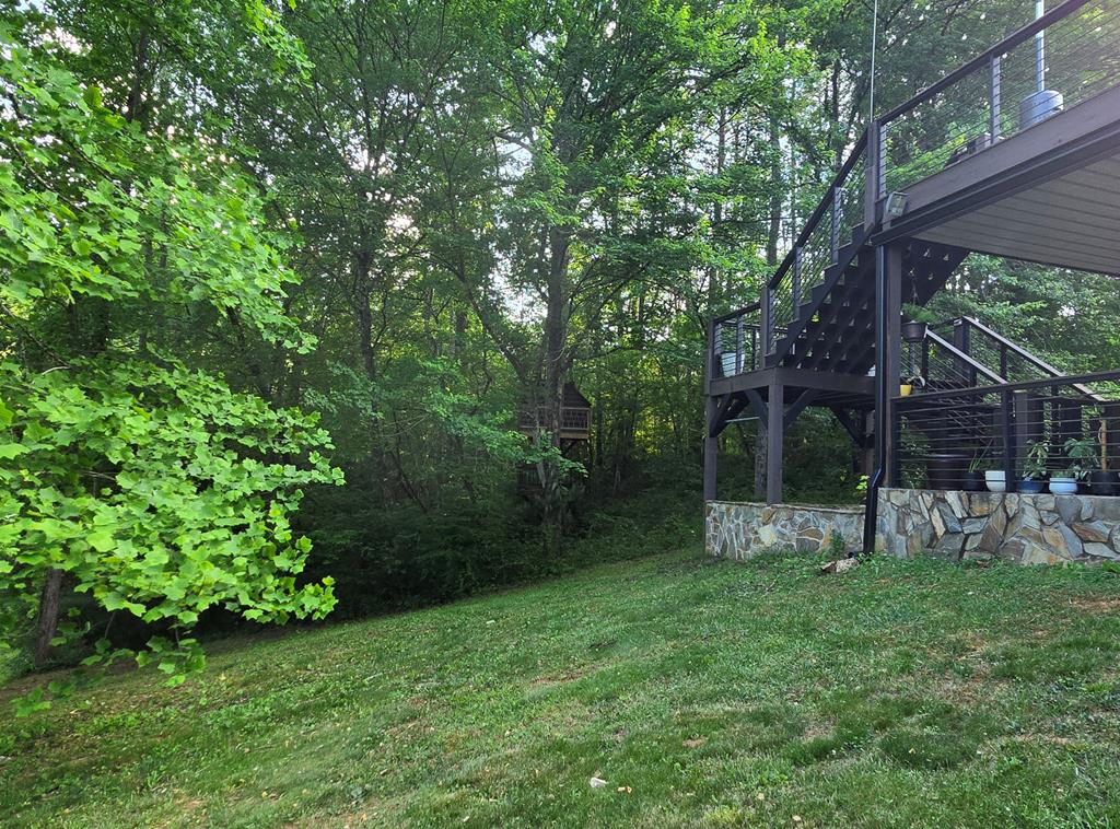 3800 Cutcane Road Mineral Bluff, GA 30559 - Photo 67 of 68 a view of a backyard with plants and large trees