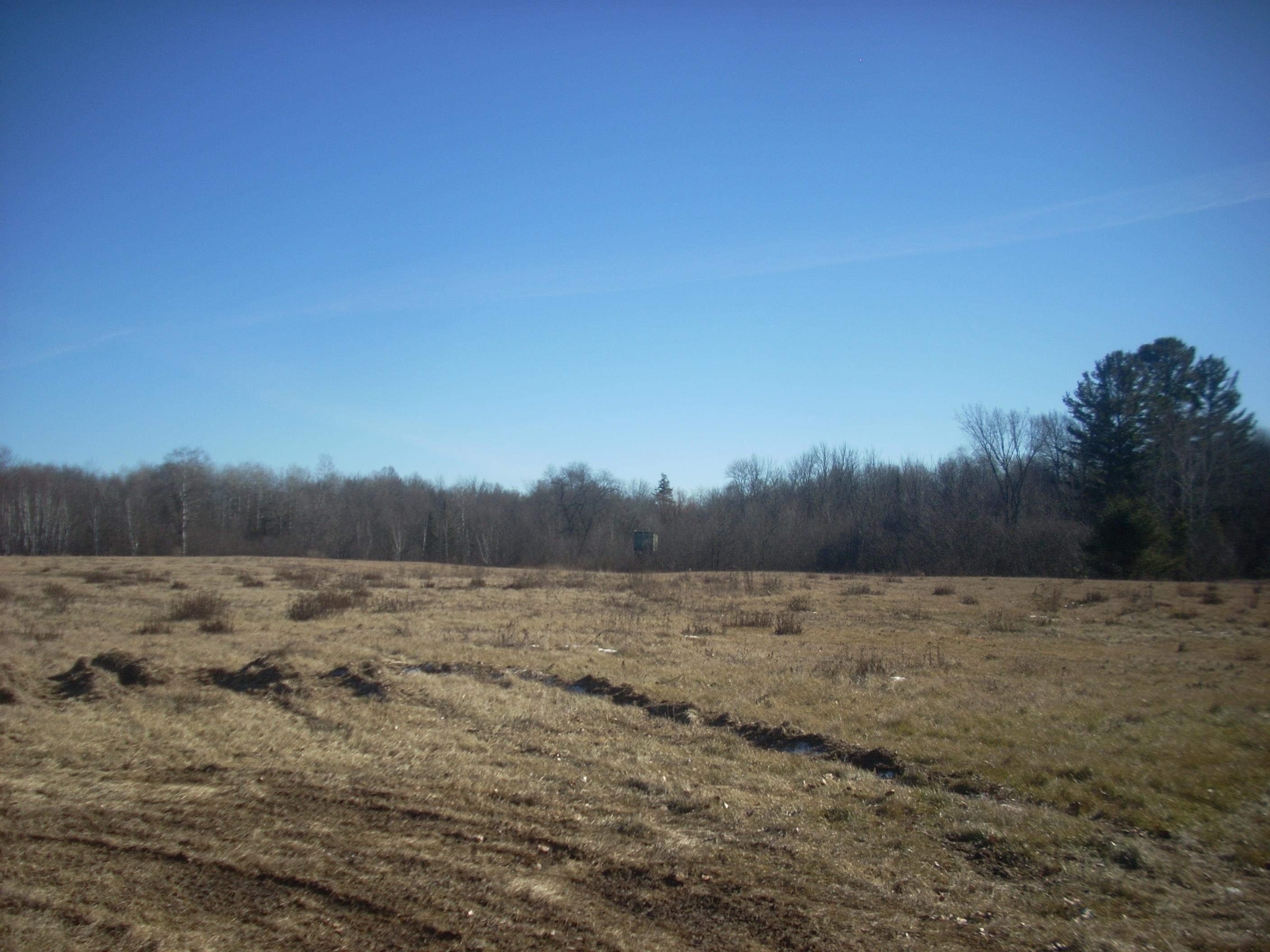 48.6-acres County Road West Merrill, WI 54452 - Photo 5 of 17
