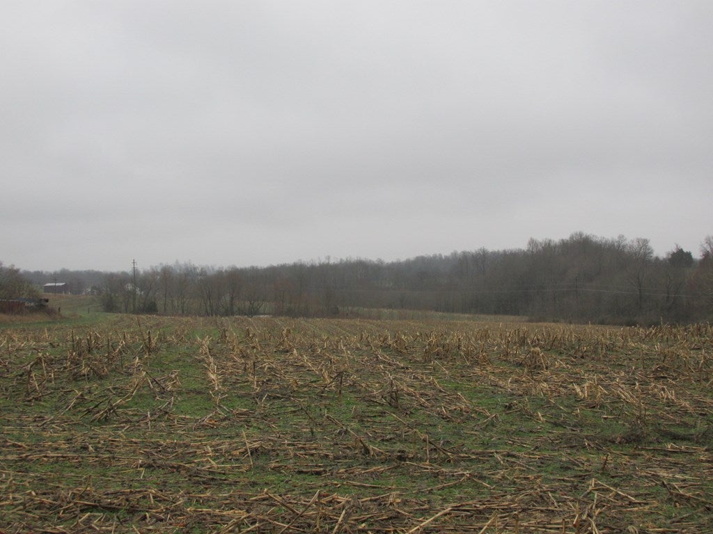 Ac Nobob Road Glasgow, KY 42141 - Photo 5 of 5 Gallery Image 5