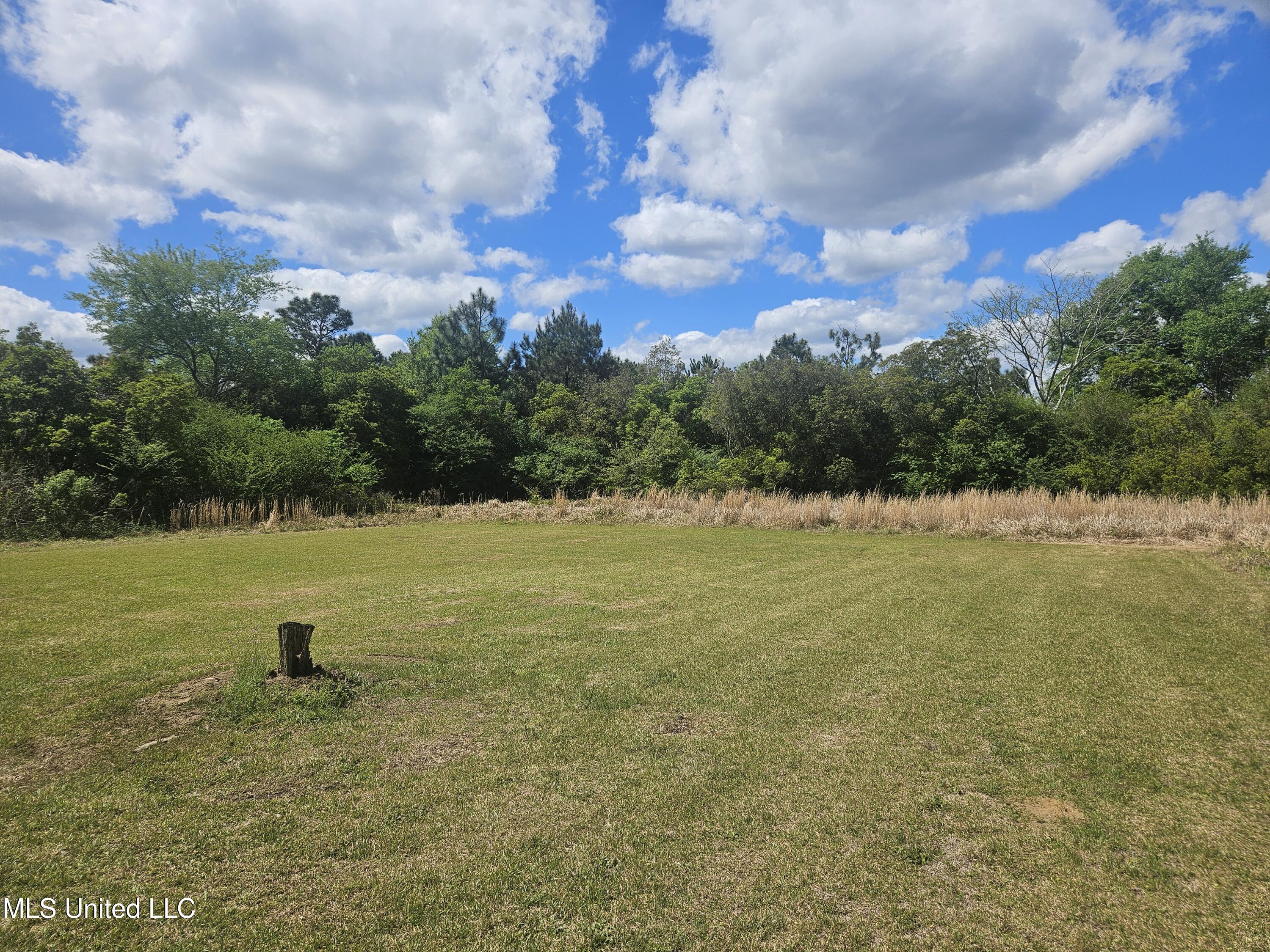 209 Spooner Road Lucedale, MS 39452 - Photo 13 of 14 20240330_120014
