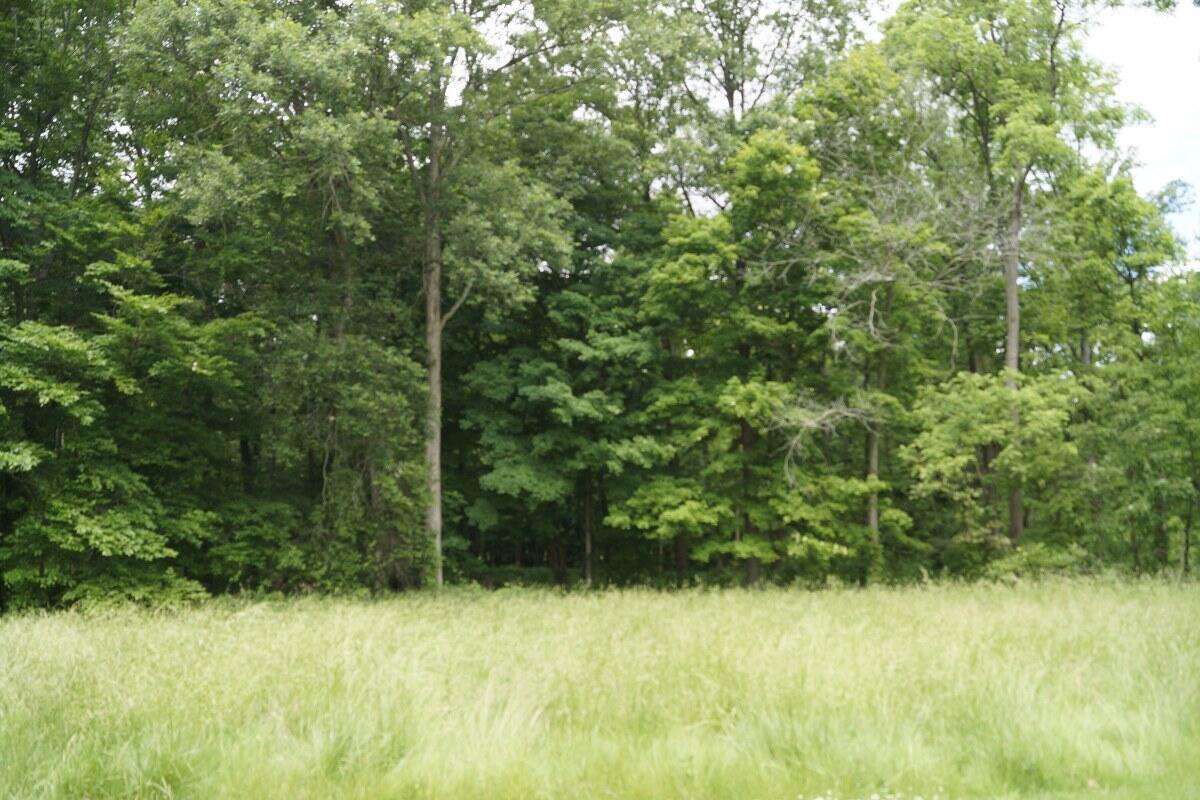 3861 Winnemac Pike La Rue, OH 43332 - Photo 30 of 35 _DSC5686_1200x800