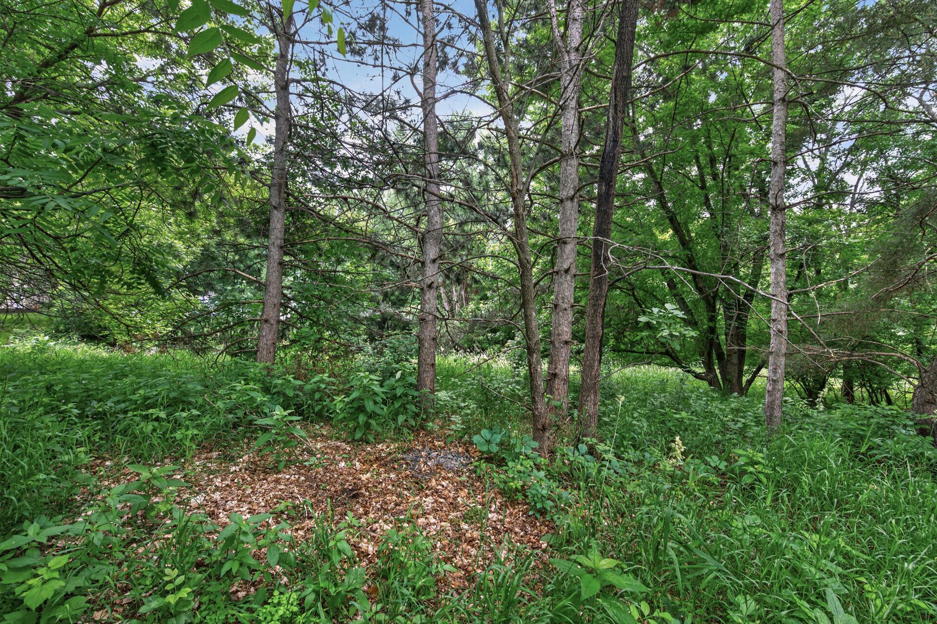 3383 Buckbee Road White Bear Lake, MN 55110 - Photo 43 of 43