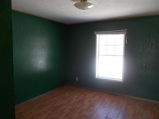 12184 Townsend Road Milan, MI 48160 - Photo 9 of 10 20327188-8.JPG