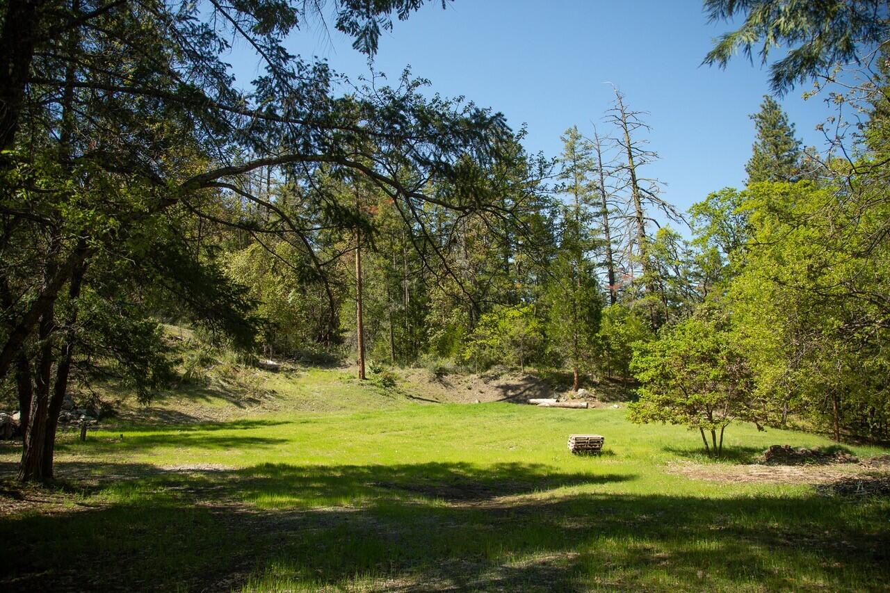 10041 Highway 299, Unit 299 Burnt Ranch, CA 95527 - Photo 10 of 44
